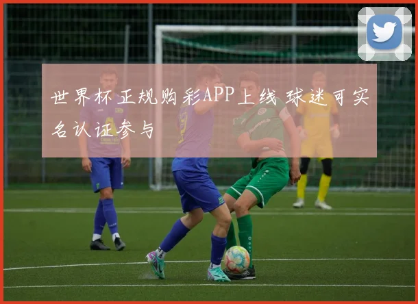 世界杯正规购彩APP上线 球迷可实名认证参与