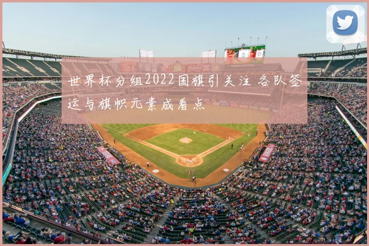世界杯分组2022国旗引关注 各队签运与旗帜元素成看点