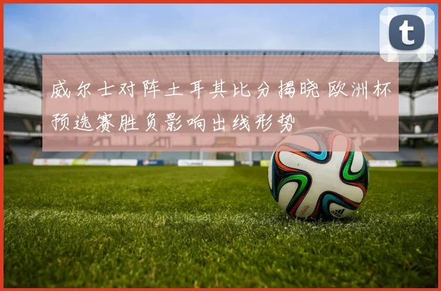 威尔士对阵土耳其比分揭晓 欧洲杯预选赛胜负影响出线形势
