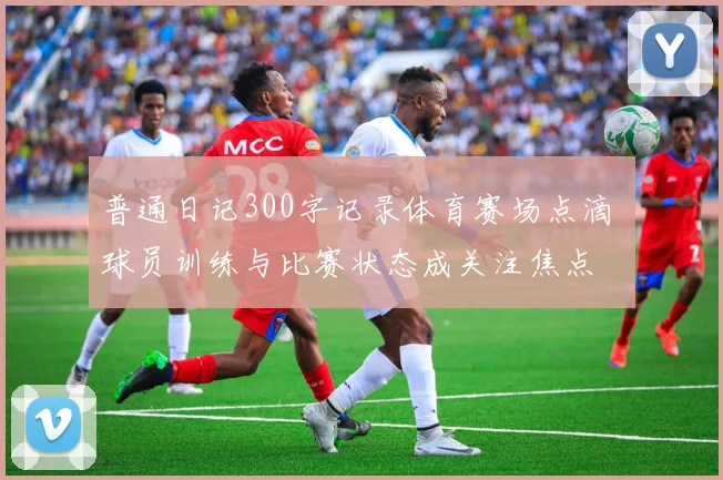 普通日记300字记录体育赛场点滴 球员训练与比赛状态成关注焦点