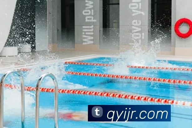 多媒体互动体验